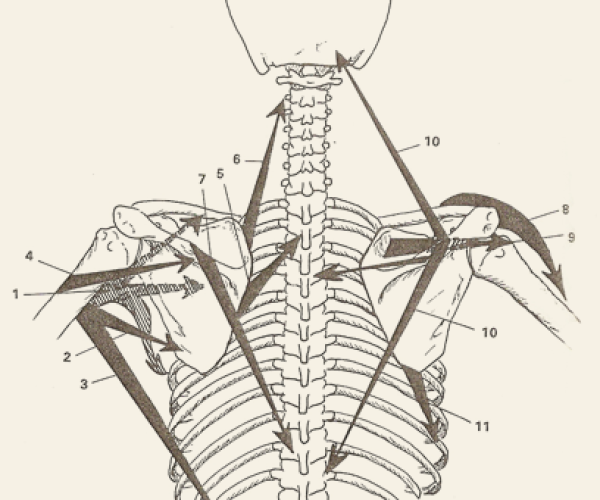 Osteopatia